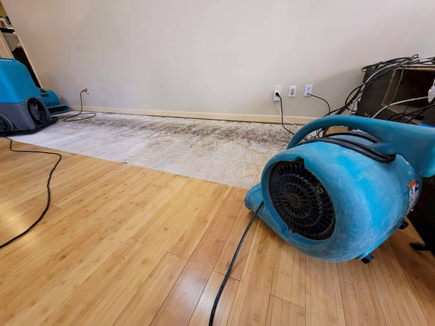 Professional Water Damage Repair technician working in Lake Pleasant, MA